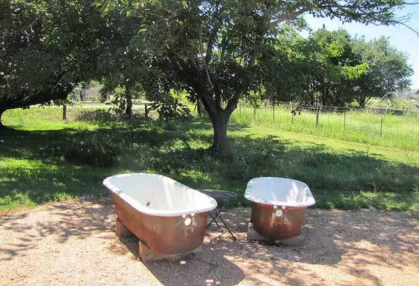 Majatalo Covered Wagon B&b Guesthouse