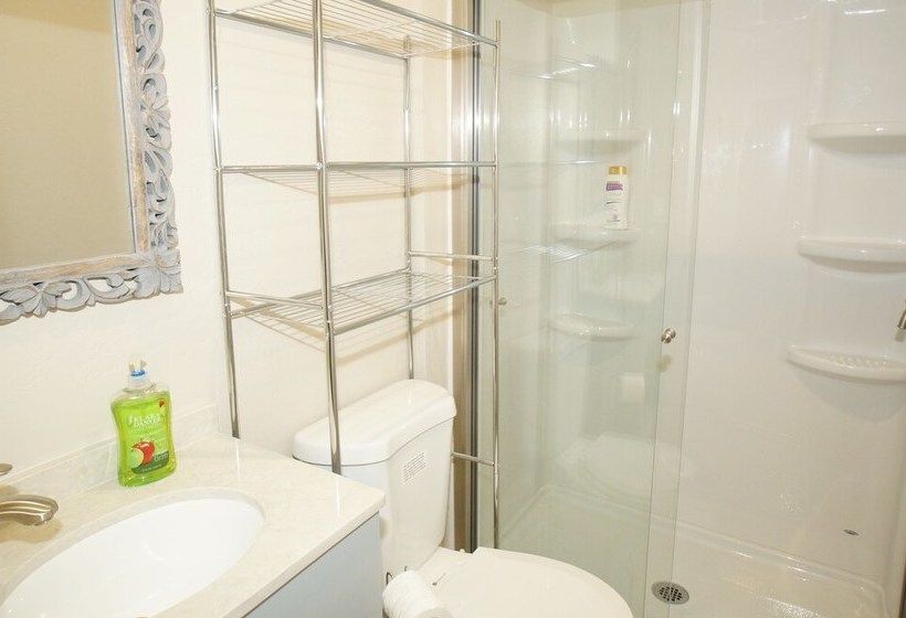 Big Bear 4 Seasons Three