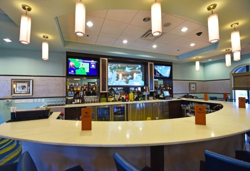 Champions Gate Ihr 4038