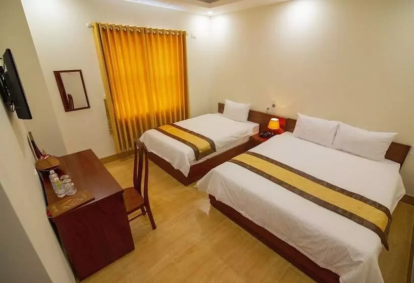 Green Hotel Quy Nhơn   Hostel