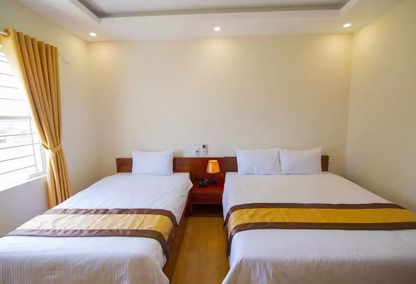 Green Hotel Quy Nhơn   Hostel