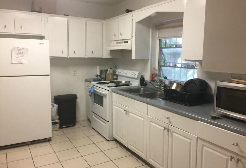 Zbunkz   Little Havana   Hostel