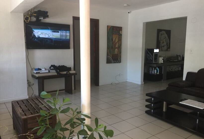 Zbunkz   Little Havana   Hostel