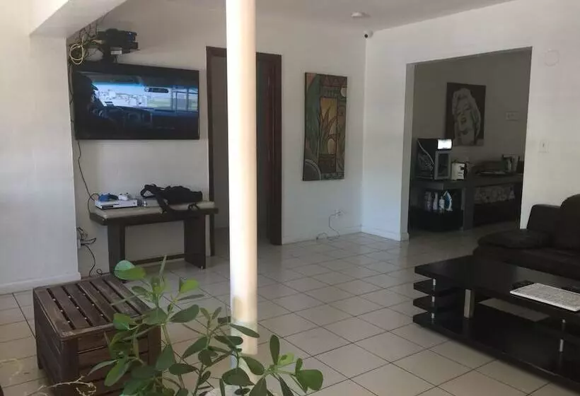 Zbunkz   Little Havana   Hostel