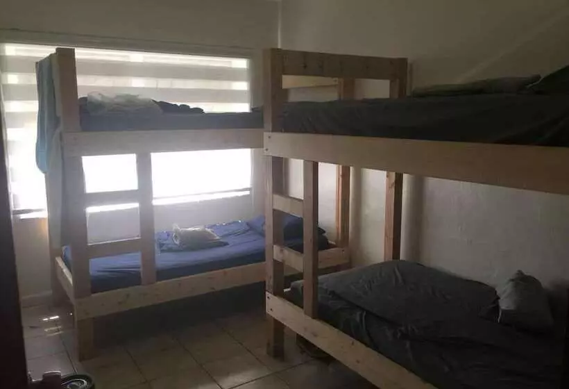 Zbunkz   Little Havana   Hostel