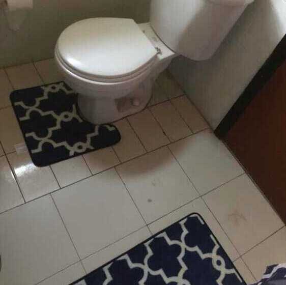 Zbunkz   Little Havana   Hostel