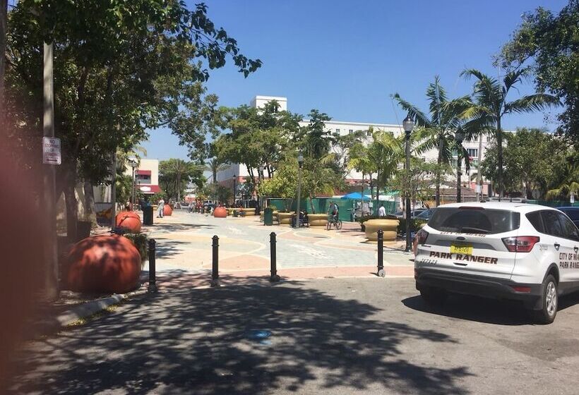 Zbunkz   Little Havana   Hostel