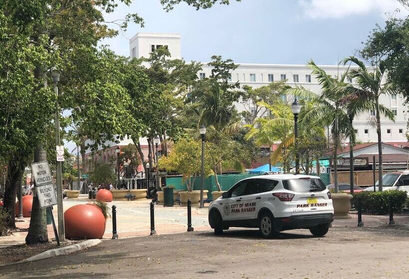 Zbunkz   Little Havana   Hostel