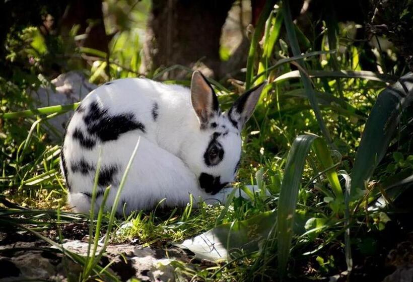 호텔 Agriturismo Agrimilo