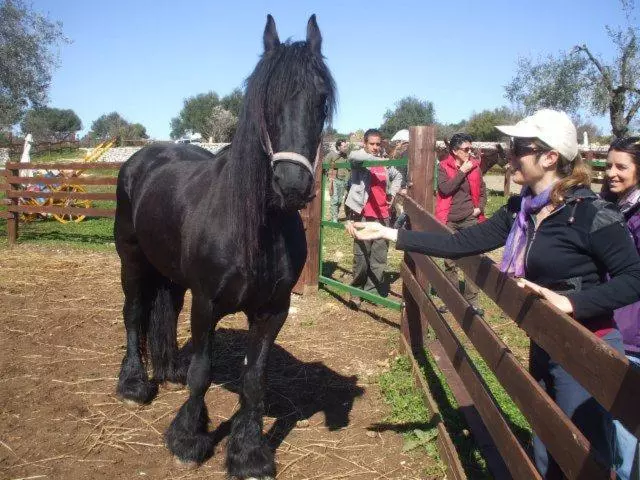 هتل Agriturismo Agrimilo