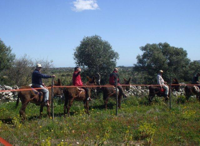 호텔 Agriturismo Agrimilo