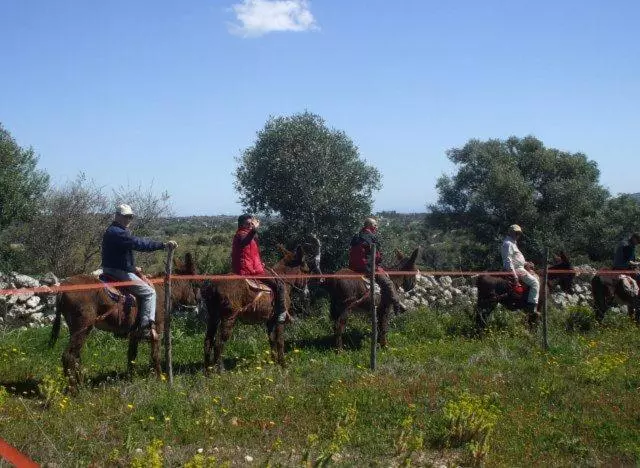 هتل Agriturismo Agrimilo