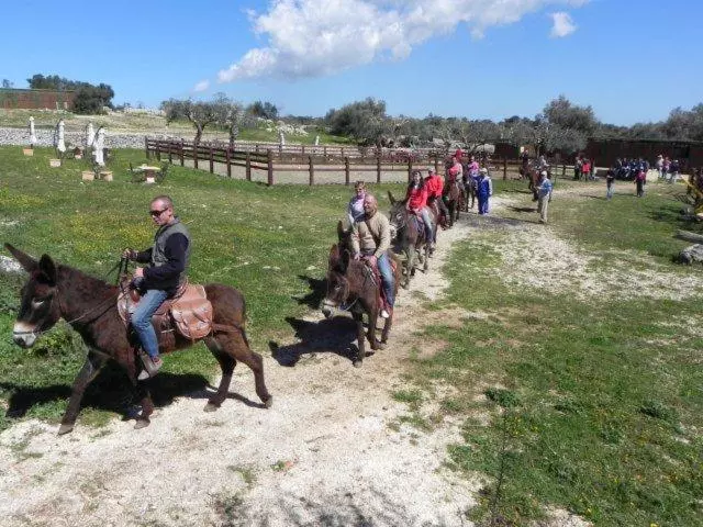 هتل Agriturismo Agrimilo