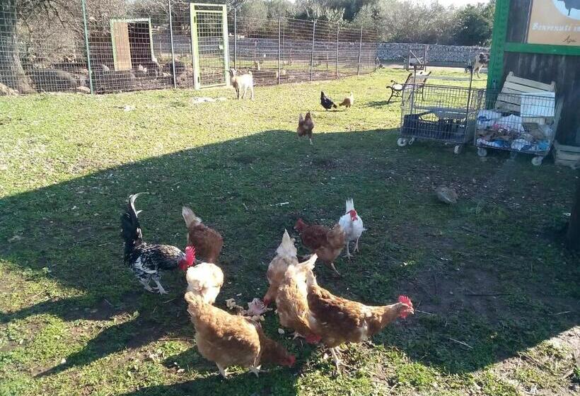 호텔 Agriturismo Agrimilo