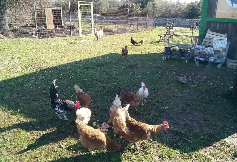 هتل Agriturismo Agrimilo