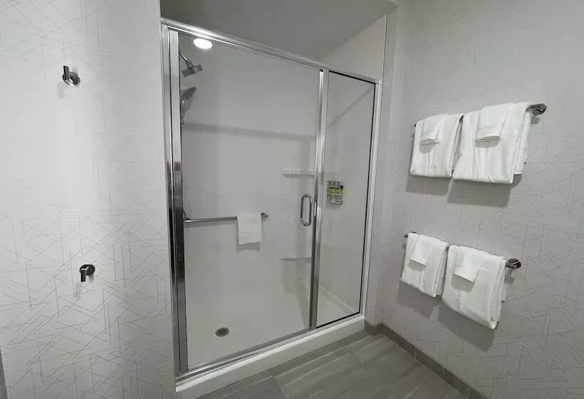 ホテル Holiday Inn Express & Suites   Ft. Smith   Airport, An Ihg