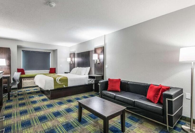 Отель Quality Inn Owatonna Near Medical Center