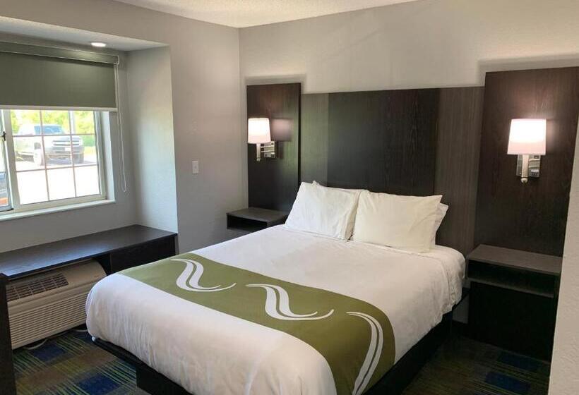 Отель Quality Inn Owatonna Near Medical Center