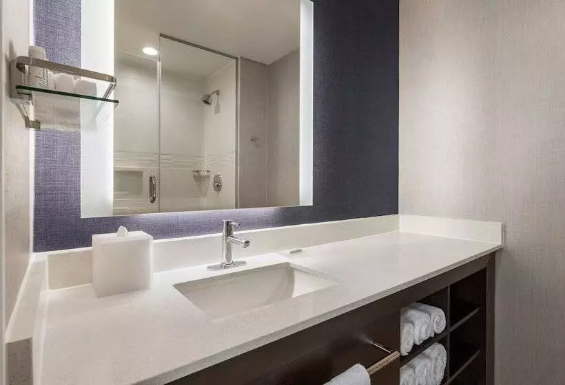 هتل Residence Inn By Marriott New York Jfk Airport