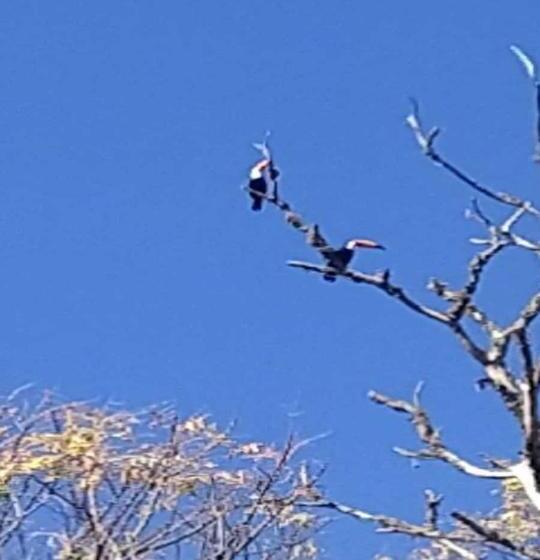 膳宿费 Residencial Das Araucárias