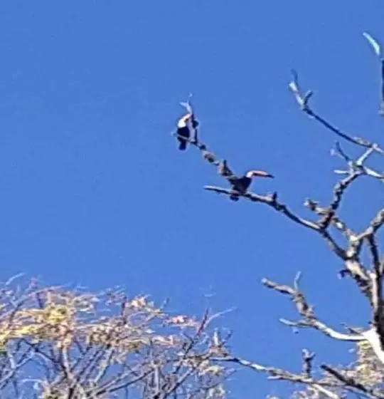 Majatalo Residencial Das Araucárias