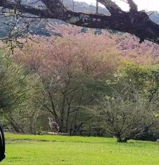 Majatalo Residencial Das Araucárias