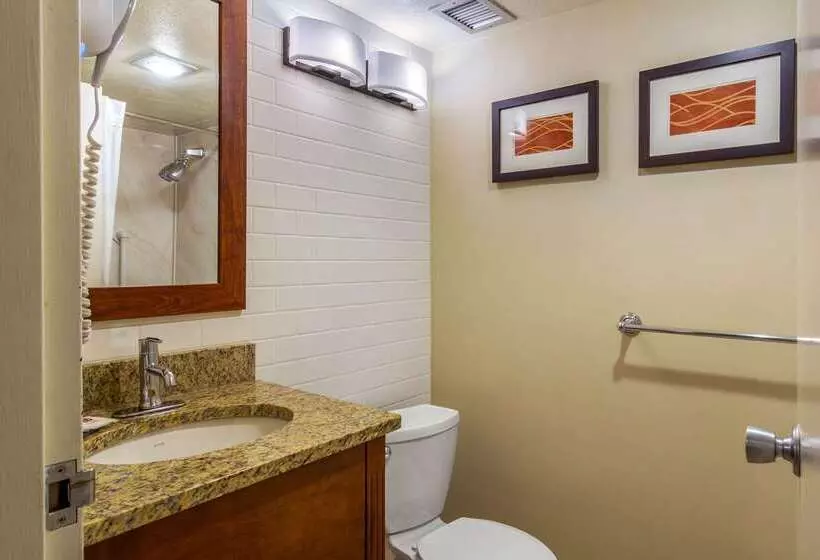 Отель Comfort Inn Denver Central