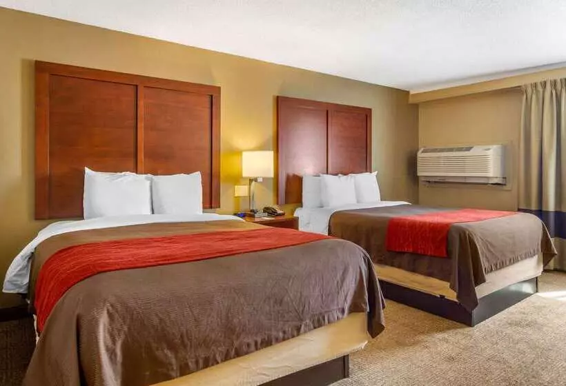 Отель Comfort Inn Denver Central