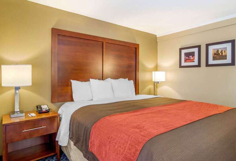 فندق Comfort Inn Denver Central