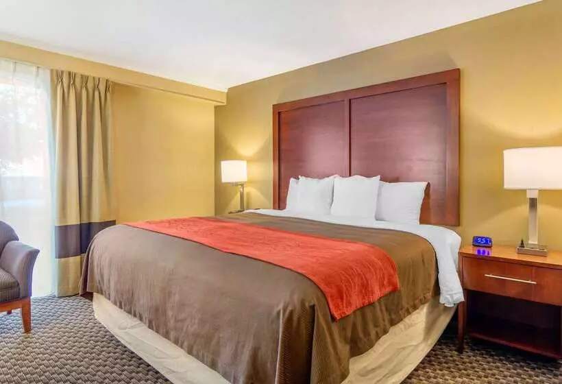 Отель Comfort Inn Denver Central
