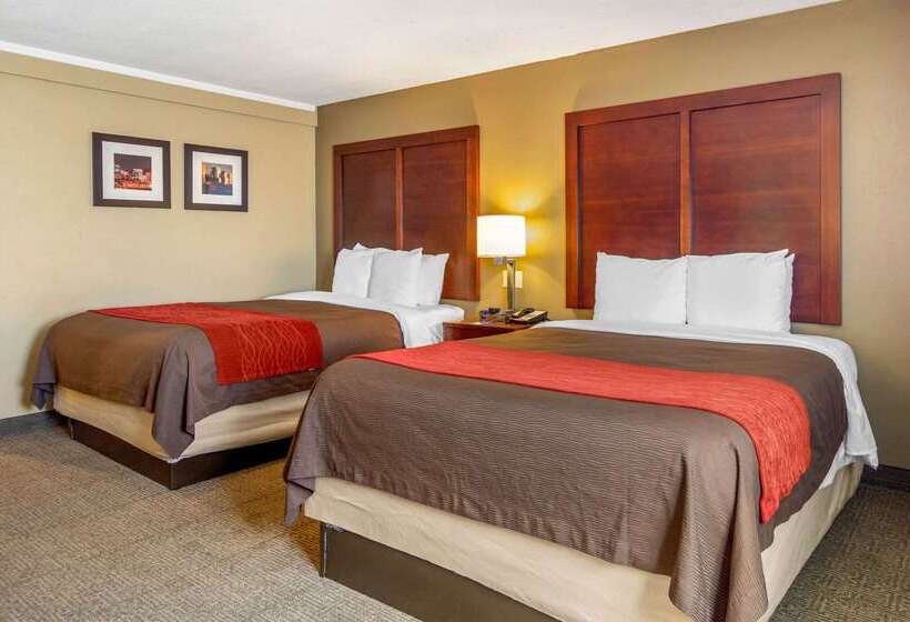 فندق Comfort Inn Denver Central