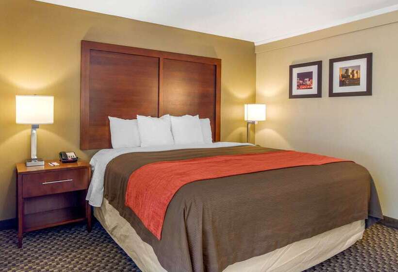 فندق Comfort Inn Denver Central