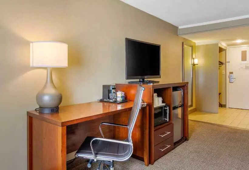 Отель Comfort Inn Denver Central