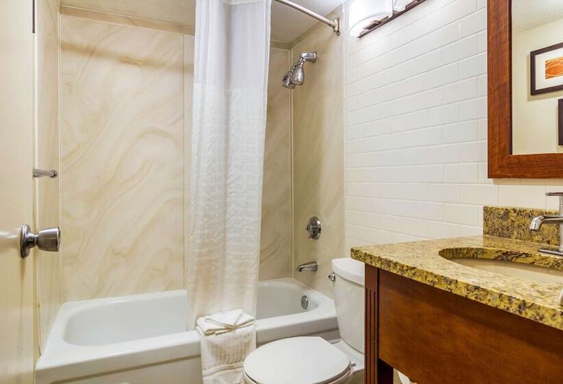 فندق Comfort Inn Denver Central