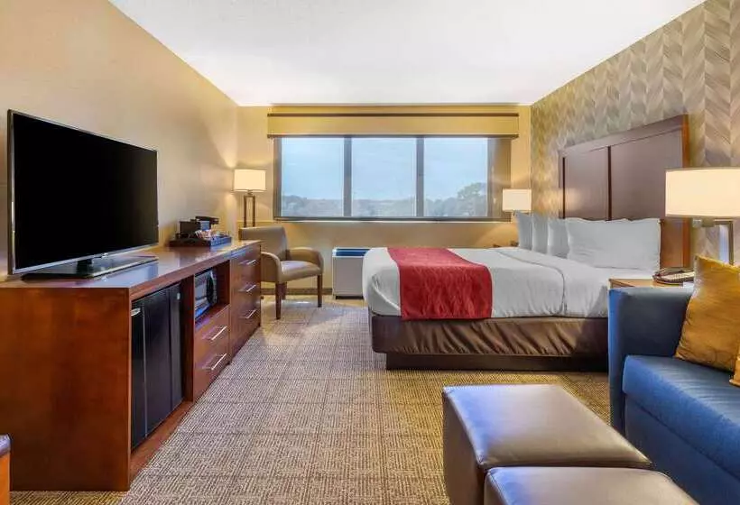 ホテル Comfort Inn & Suites Logan International Airport