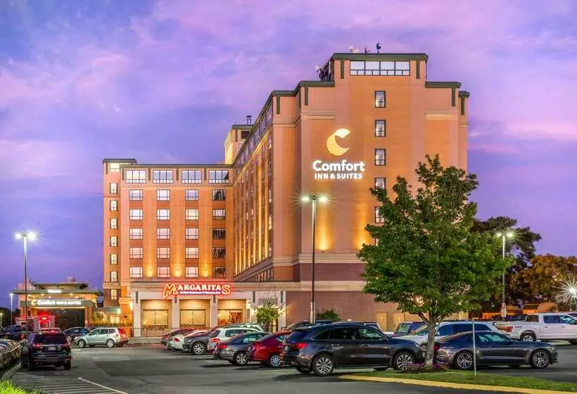 ホテル Comfort Inn & Suites Logan International Airport