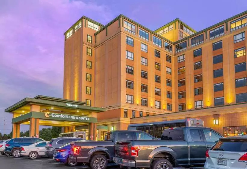 ホテル Comfort Inn & Suites Logan International Airport