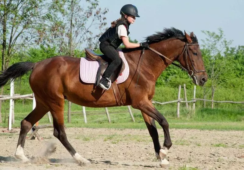 هتل Fuerte El Rompido