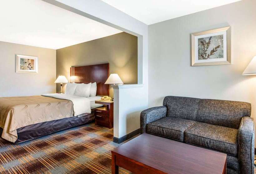 فندق Quality Inn Airport I240