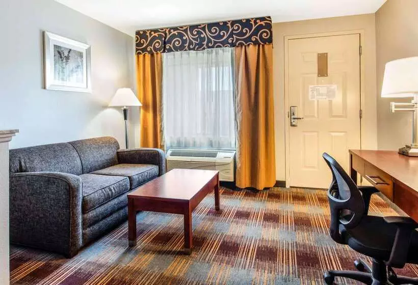 Отель Quality Inn Airport I240