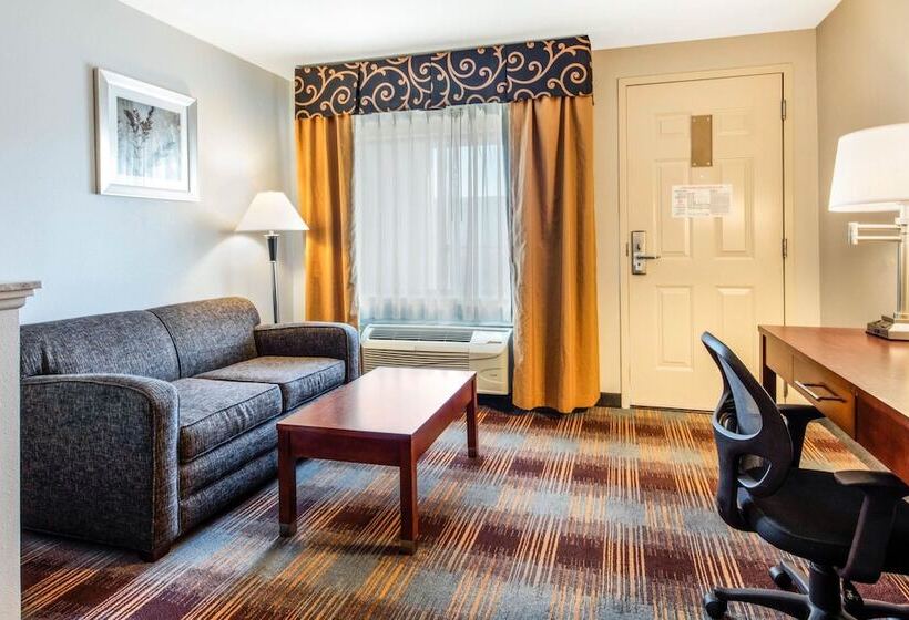 فندق Quality Inn Airport I240