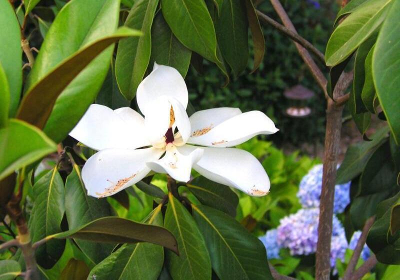 乡村酒店  Rural San Miguel  Only Adults