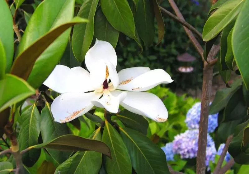 فندق ريفى Rural San Miguel  Only Adults