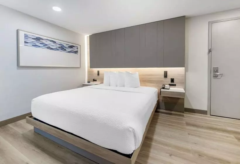 The Capitol Hotel Downtown, Ascend Hotel Collection