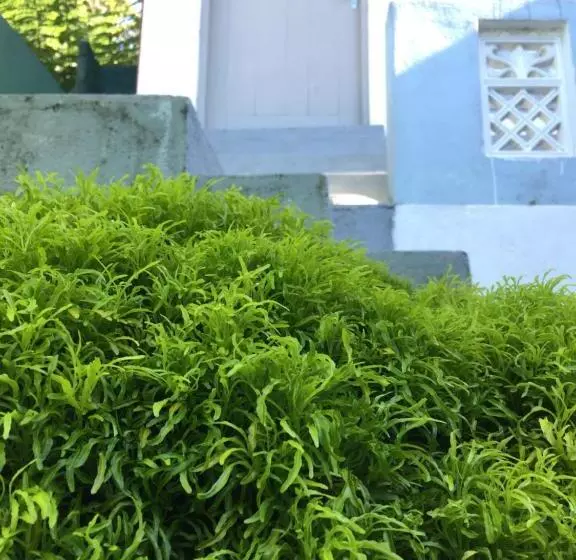 Hill Cottage B&b