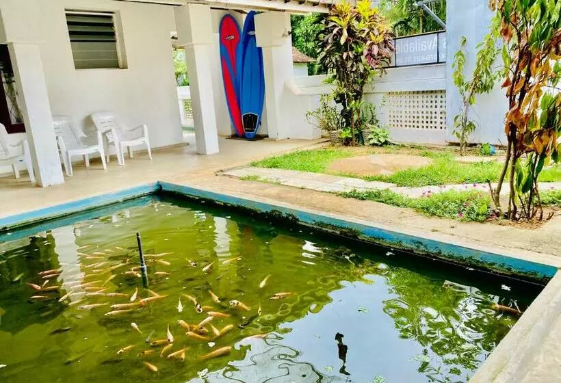 Hotelli Hiriketiya Orchid Villa