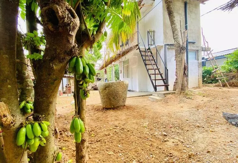 Hotelli Hiriketiya Orchid Villa