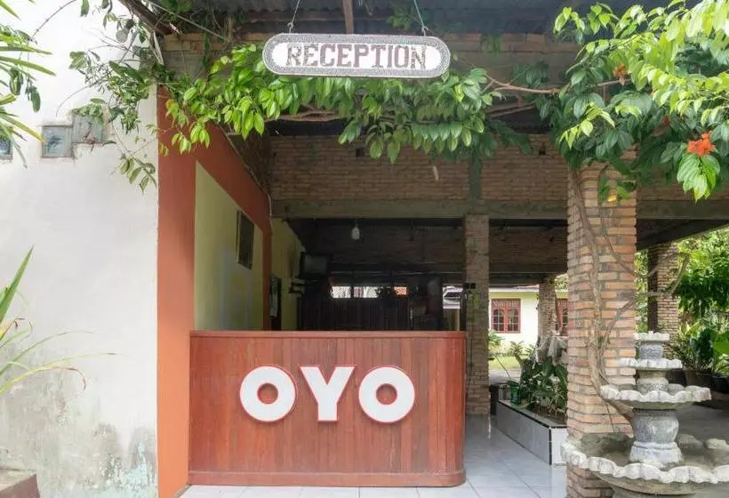 ホテル Oyo 2901 Kings Guest House