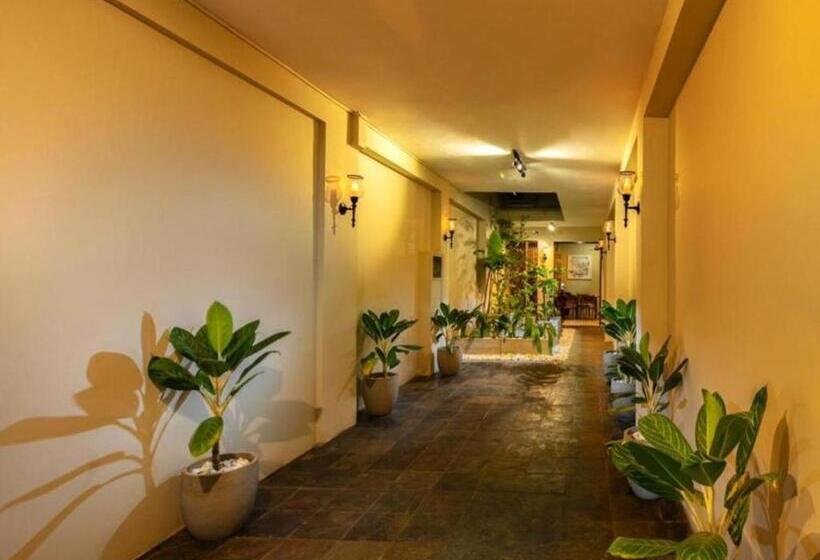 بنسيون Rosmead Place By Thilanka