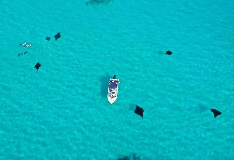 پانسیون Salt Villa Ukulhas